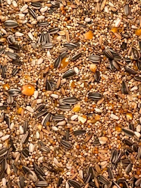 1kg Small Parrot Mix Seed